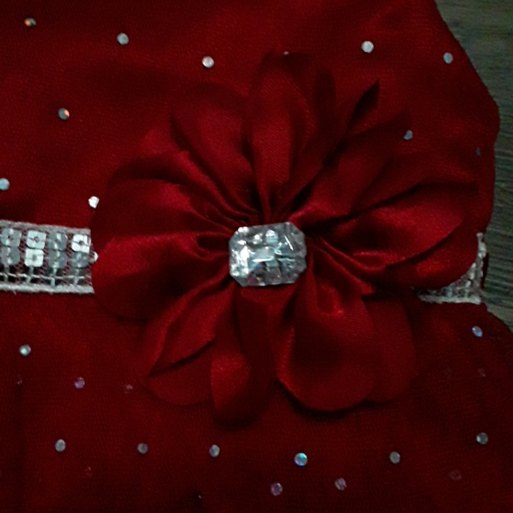 Formal dress - Picture 2 of 4